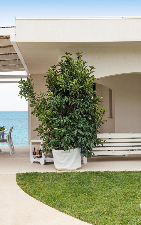 Villa Hermes: bassin, Extérieur, Extérieurs