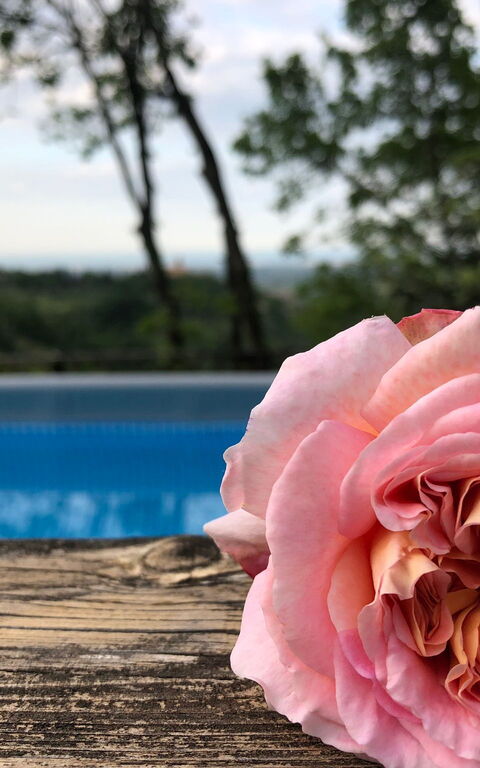 La Nocciola: bassin, Extérieur