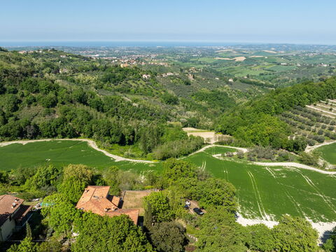 La Nocciola