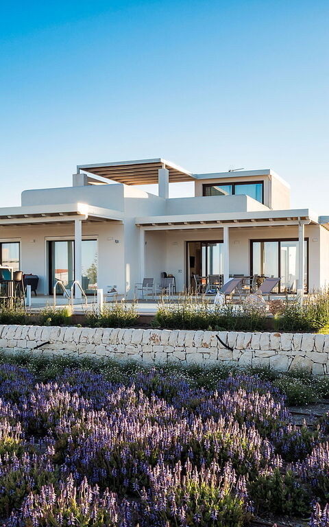 Villa San Lorenzo Ulivo: Extérieur, Extérieurs