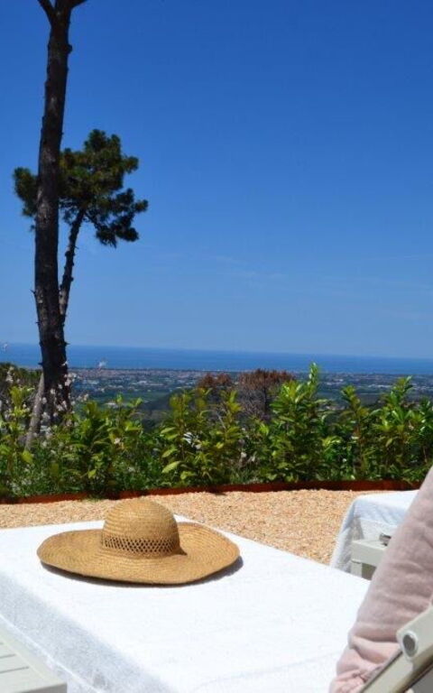 Casarosa Di Mariasole: Été, Extérieur