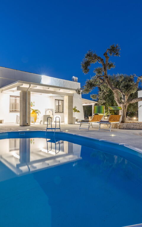 Villa Narkive: bassin