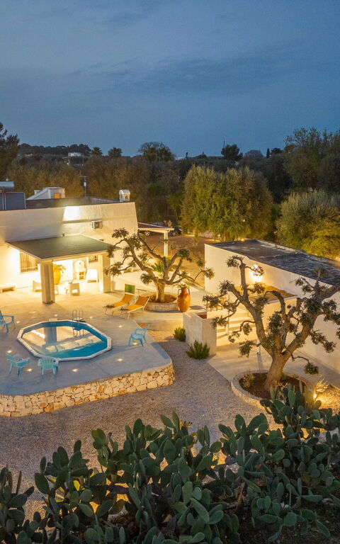 Villa Narkive: Extérieurs