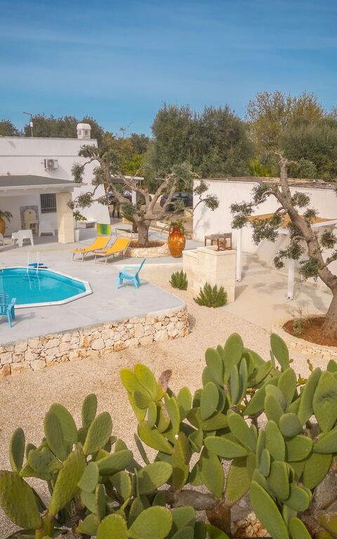 Villa Narkive: Entrée principale, Extérieur, Jardin