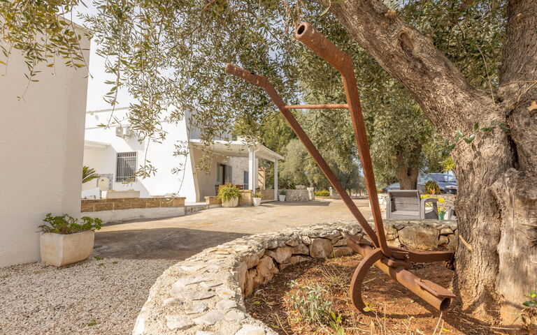 Villa Narkive: Extérieur, Extérieurs, Jardin