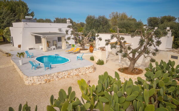 Villa Narkive: Entrée principale, Extérieur, Jardin