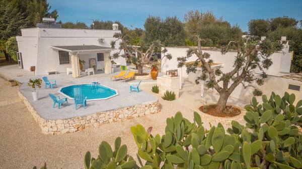 Villa Narkive: Entrée principale, Extérieur, Jardin