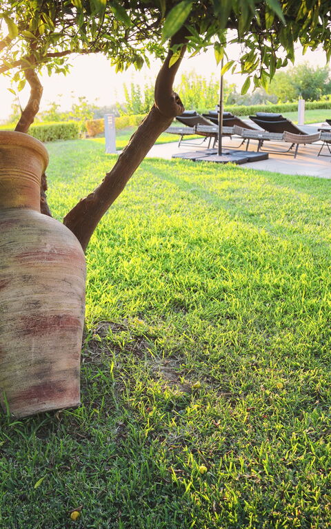 Villa Malu: Extérieur, Extérieurs, Jardin