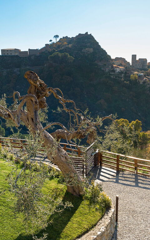 Zagara Bianca: Extérieur, Extérieurs, Jardin, Vues
