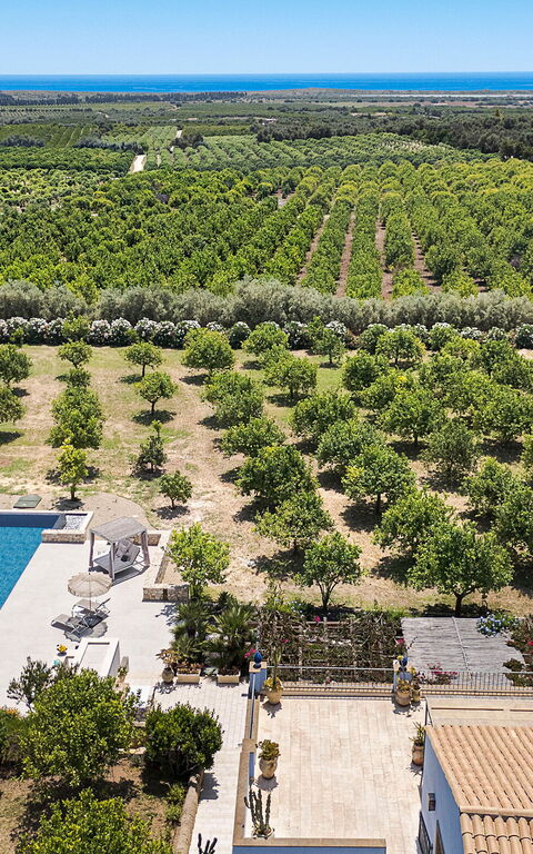 Pigna Blue: bassin, Vues