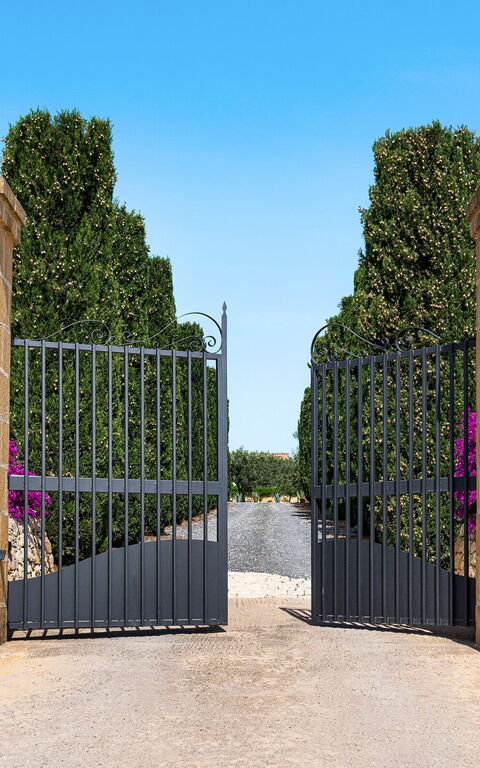 Pigna Blue: Entrée principale