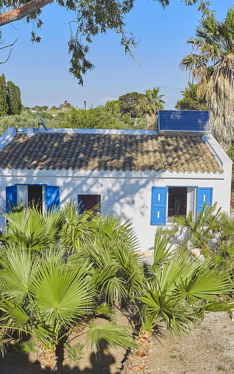 Villa Maraus: Extérieur, Extérieurs, Jardin