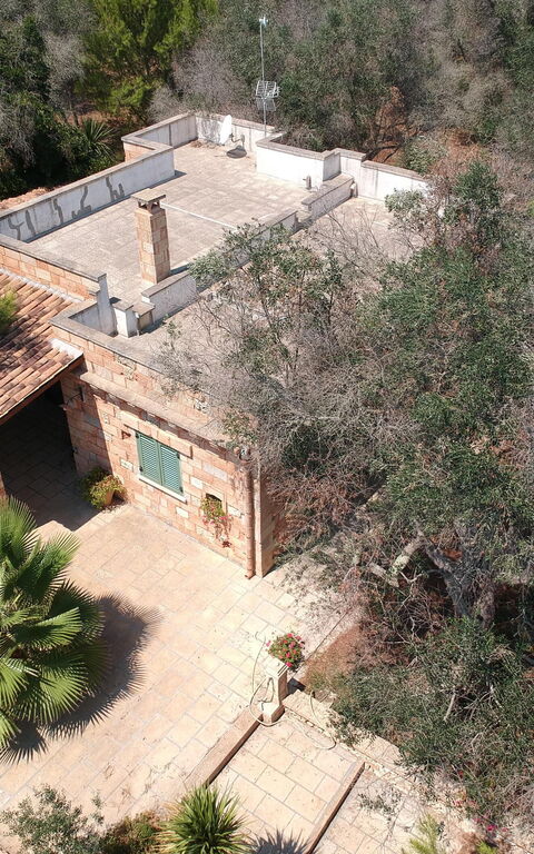 Villa Astrea: Extérieur, Jardin