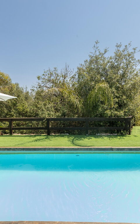 Villa Astrea: bassin, Jardin