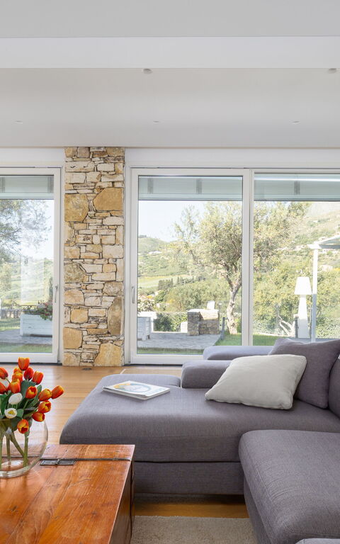 Villa Demetra: Salon
