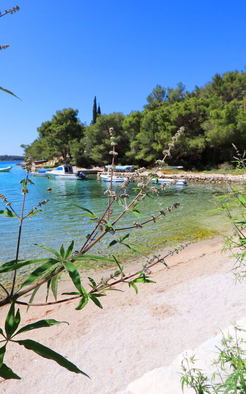 Villa Emerald: Activités, Vues