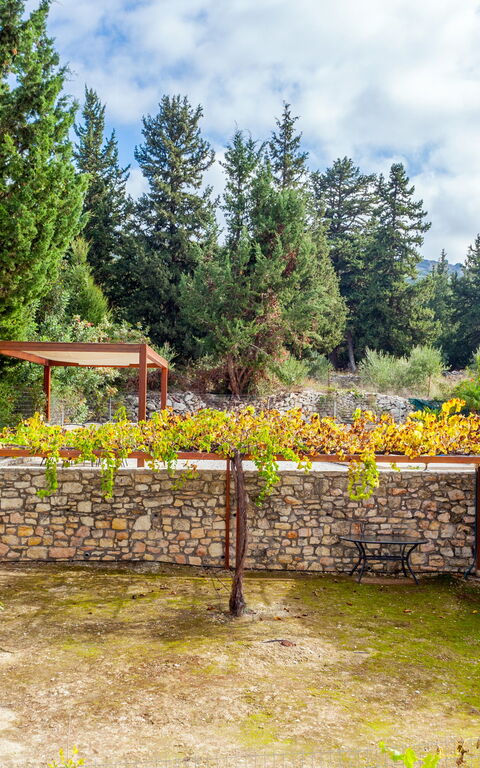 Villa Giorgos: Extérieur, Extérieurs, Jardin