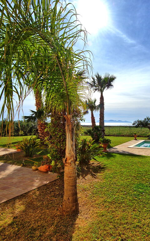 Villa Casale: bassin, Extérieur, Extérieurs, Jardin