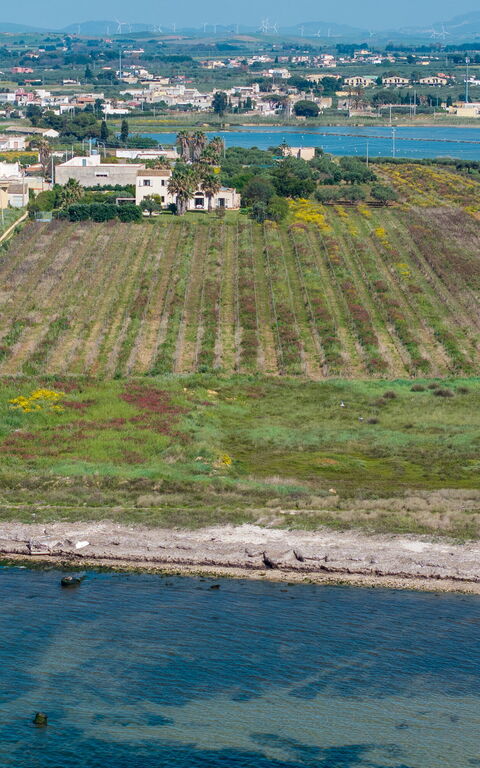 Villa Casale: Vues