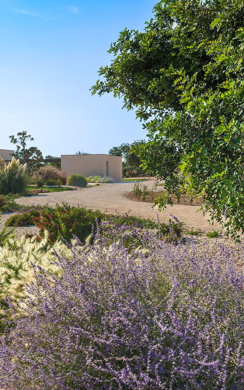 Villa Passo Salina: Jardin