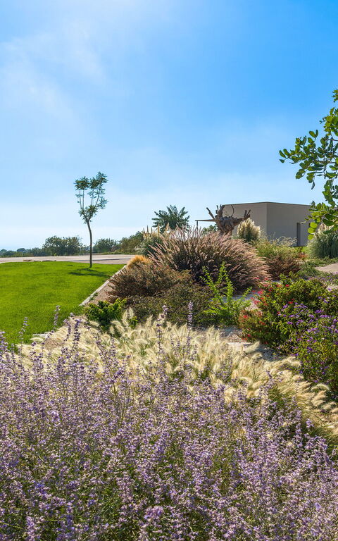 Villa Passo Salina: Jardin