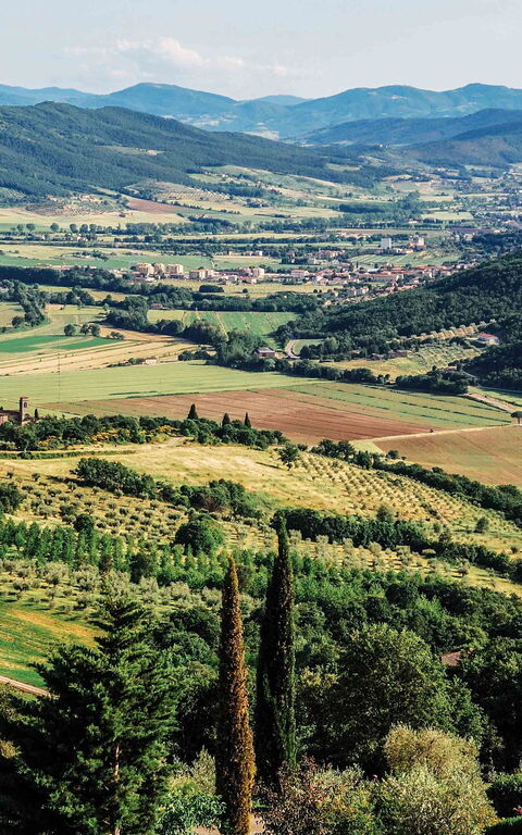 Villa Paradiso: Vues