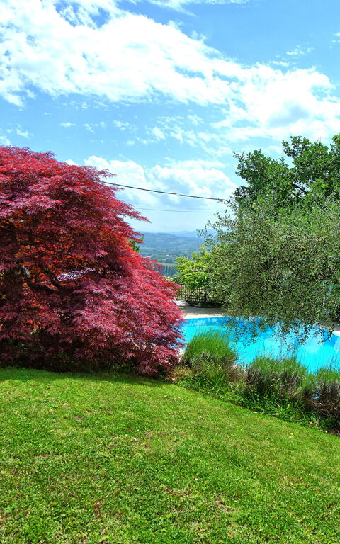 Villa Paradiso: Jardin