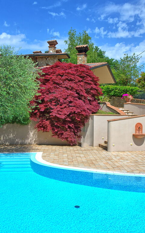 Villa Paradiso: bassin, Extérieurs