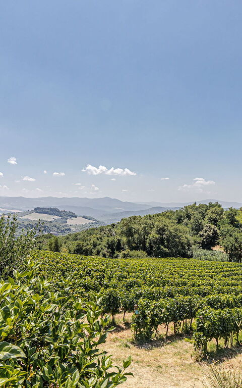 Chateau La Siroque: Extérieur, Extérieurs, Vues