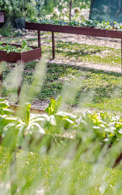 Chateau La Siroque: Extérieur, Extérieurs, Jardin