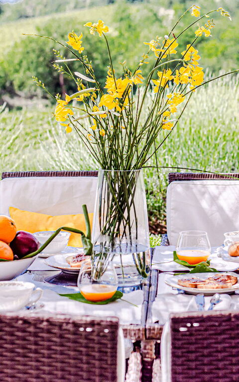 Chateau La Siroque: Extérieur, Extérieurs