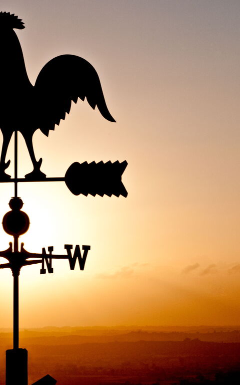 Villa Colle Di Sotto: Extérieur, Extérieurs