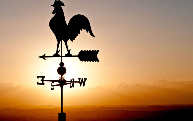 Villa Colle Di Sotto: Extérieur, Extérieurs