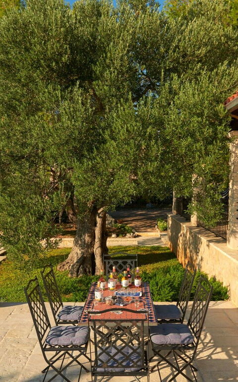 Orvas Villa 189: Balcon / Terrasse / Patio, bassin, Extérieur