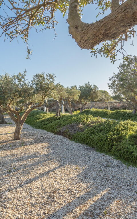 Villa Partenope: Extérieur, Extérieurs, Jardin