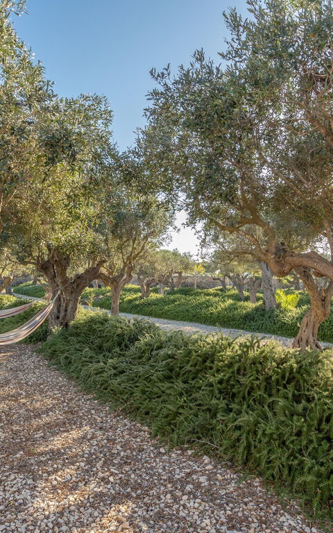 Villa Partenope: Extérieur, Extérieurs, Jardin