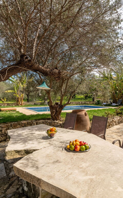 Klapas: Balcon / Terrasse / Patio, bassin, Extérieurs, Jardin