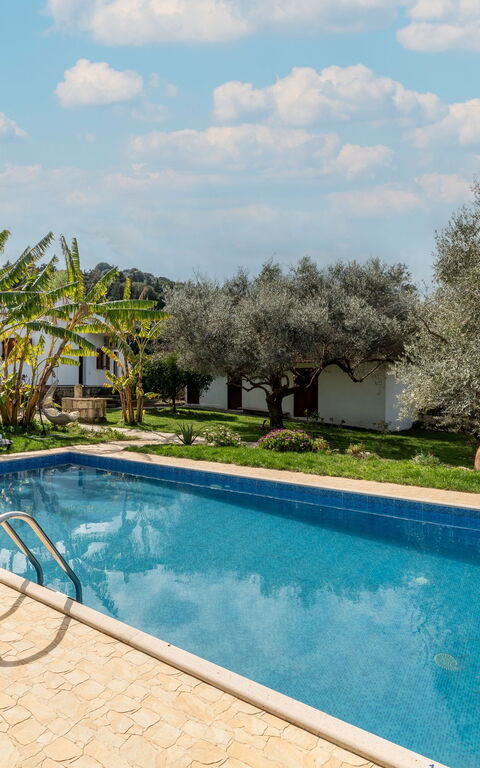 Klapas: bassin, Extérieurs, Jardin