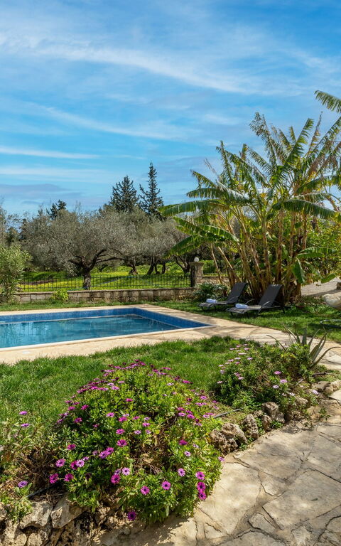 Klapas: bassin, Extérieurs, Jardin