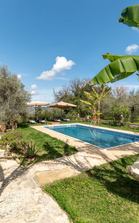 Klapas: bassin, Extérieurs, Jardin