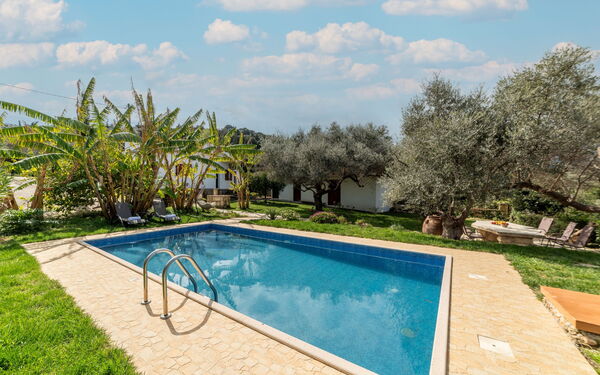 Klapas: bassin, Extérieurs, Jardin