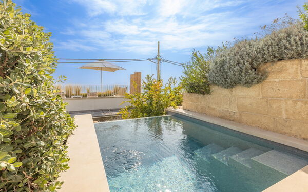 Marinaia Panorama: bassin, Vues