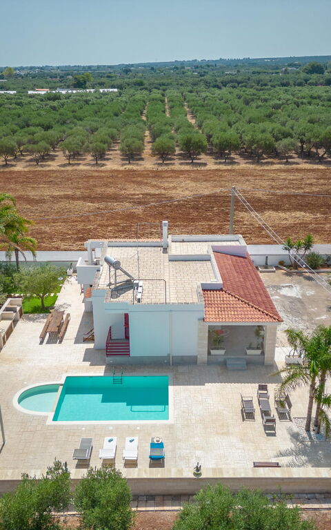 Villa Dolcevivere: bassin, Été, Extérieur, Extérieurs, Vues