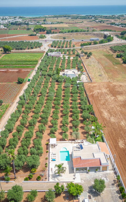 Villa Dolcevivere: Été, Extérieur, Extérieurs, Vues