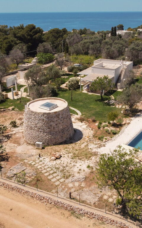 Villa Platino: bassin, Extérieur, Extérieurs, Jardin, Vues