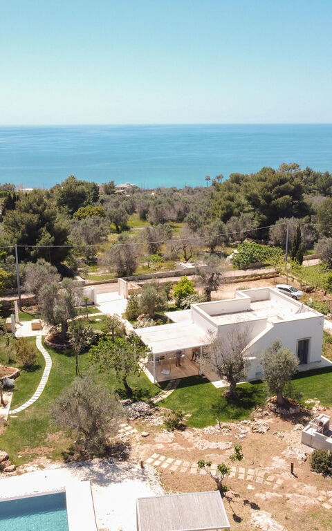 Villa Platino: Extérieur, Extérieurs, Jardin, Vues