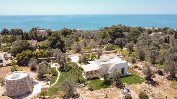 Villa Platino: Extérieur, Extérieurs, Jardin, Vues