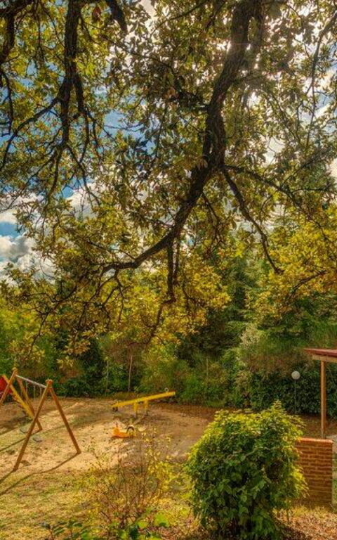 Leccino: Extérieur, Extérieurs, Jardin, Vues