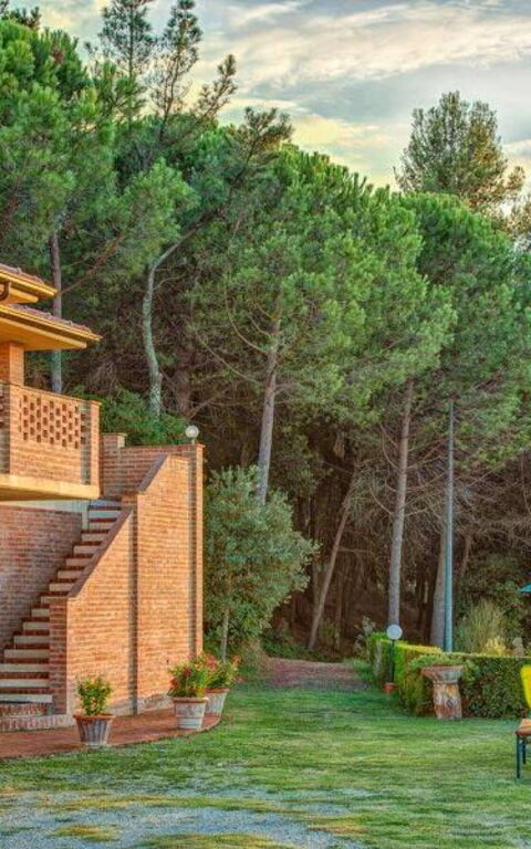 Leccino: Entrée principale, Extérieur, Extérieurs, Jardin