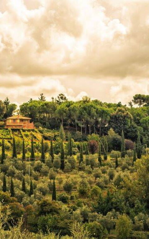 Leccino: Extérieur, Extérieurs, Vues